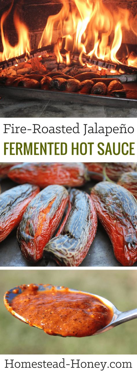 Fire-Roasted Pepper Fermented Hot Sauce Recipe | Homestead Honey Fermenting Peppers For Hot Sauce, Lacto Fermented Hot Sauce, Fermented Hot Sauce Recipe, Fermented Hot Sauce, Fermented Recipes, Fermenting Foods, Stocking Shelves, Hot Sauce Recipe, Lacto Fermented