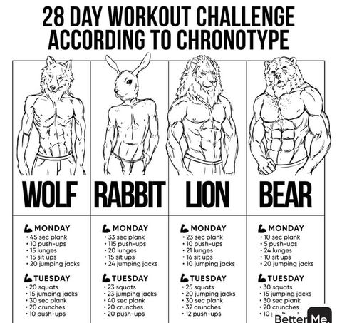 Workout Routine Plan, Total Body Workout Plan, Body Type Workout, Shoulder Workout At Home, Teen Workout Plan, Workout Plan For Men, Mma Workout, Bodybuilding Workout Plan, Full Body Hiit Workout