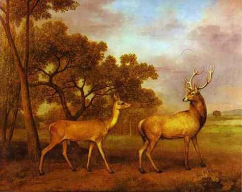 George Stubbs, Red Deer Stag, Dark Cottage Core, Cottage Core Art, Buck And Doe, Religious Artwork, Maximalist Wall Art, Vintage Inspired Art, Deer Stags