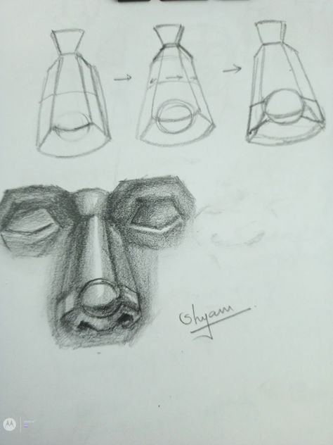 Nose drawing Nose Construction Drawing, Drawing Of Nose, Constructive Drawing, Nose Structure, Cross Contour, Construction Drawing, Parts Of The Nose, Artist Tutorials, Art Learning