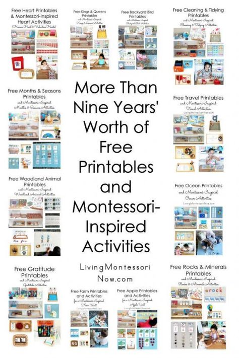 Montessori Activities Preschool, Montessori Printables, Gratis Printables, Montessori Elementary, Montessori Lessons, Toddler Homeschool, Montessori Homeschool, Montessori Toddler Activities, Montessori Preschool