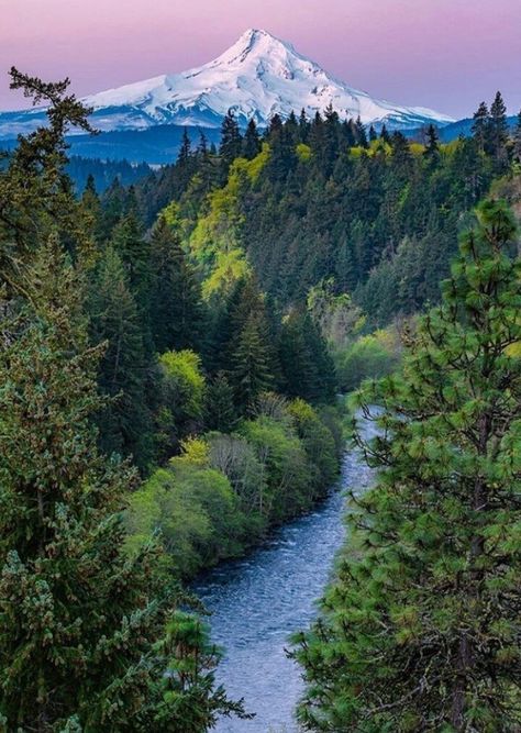 Mount Hood National Forest, Oregon Nature, Oregon Mountains, Mt Hood Oregon, Oregon Landscape, Oregon Photography, Photographic Projects, Mount Hood, Hood River