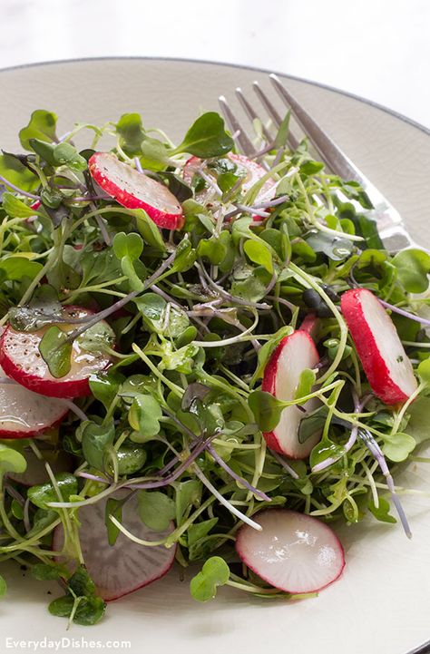 Microgreens Salad Recipe with Lime Vinaigrette Microgreens Salad, Salad Vinaigrette, Microgreens Recipe, Citrus Vinaigrette, Vinaigrette Salad, Green Salad Recipes, Recipe Salad, Lime Recipes, Lime Vinaigrette