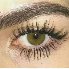 Eyelashes How To Apply, Hazel Green Eyes, How To Grow Eyelashes, Blue Green Eyes, Thick Lashes, Eyelashes Mascara, Aesthetic Eyes, Growth Serum, Eyebrow Brush