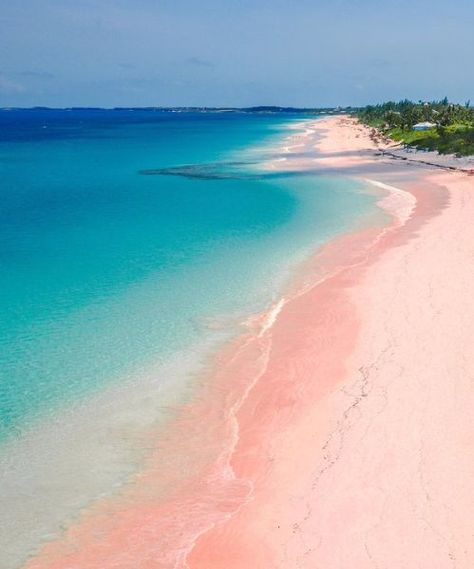 Pink Sand: Harbour Island, Bahamas Bahamas Honeymoon, Summer Travel Destinations, Bahamas Travel, Pink Sand Beach, Harbour Island, Phuket Thailand, Komodo, Beaches In The World, Pink Sand