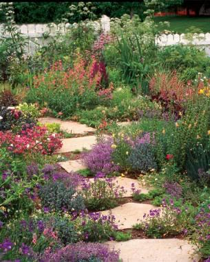 Front Yard Walkway, Garden Front Yard, Front Yard Ideas, Garden Inspo, Front Lawn, Wildflower Garden, Mediterranean Garden, Garden Pathway, Front Yard Garden