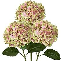 Fake Hydrangeas, Hydrangea Colors, Faux Hydrangea, Hydrangea Bouquet, Silk Hydrangeas, Faux Floral Arrangement, Artificial Hydrangeas, Hydrangea Flowers, Party Store