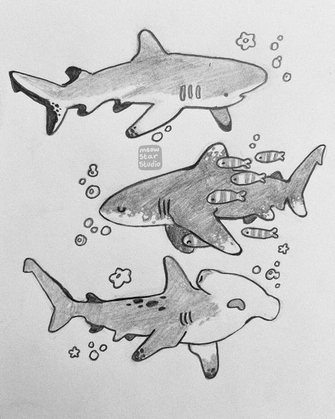 🦈!!! Sharks! #whimsical #aesthetic #childhood #cozyart #sketch #doodle #animalart #simple #texture #littleguys #nostalgia #happyvibes #innocent #joyful #cheerful #endearing #originalartwork #handmade #ocean #shark Hammerhead Shark Reference, Kawaii Shark Drawing, Cute Animal Drawings Pencil, Fluffy Animal Drawing, Bamboo Shark Drawing, Sharpie Art Black And White, Aesthetic Sea Creatures Drawing, Chibi Shark Drawing, Simple Cute Cartoon Drawings