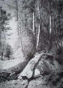 Landscape Pencil Drawings, Forest Drawing, Tree Drawings Pencil, Forest Tattoos, Landscape Sketch, Charcoal Drawings, Drawing Faces, White Drawing, Charcoal Art