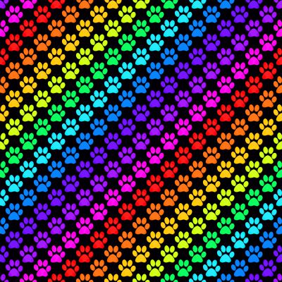 printable rainbow pictures | Rainbow Pawprints Seamless Background On Black Rainbow Backgrounds, Twitter Backgrounds, Wallpaper Image, Wallpaper Images, Dog Paw Print, Seamless Background, Dog Paw, Paw Prints, Black Background