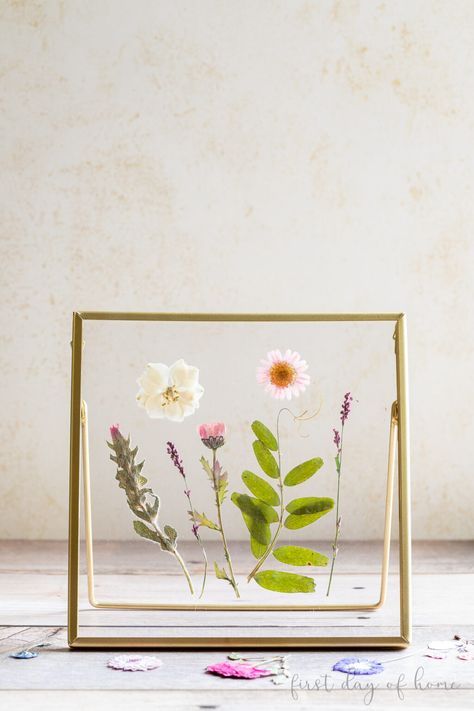 Learn how to use pressed flowers to create unique and beautiful pressed flower art. Get three ideas for creating DIY wall art with pressed flowers, including floating frames, traditional framing, and botanical prints. #diyart #pressedflowers #pressedflowerframe Diy Mom Gifts, Microwave Flower Press, Pressed Flower Wall Art, Pressed Flower Wall, Pressed Flowers Diy, Traditional Framed Art, Fun Summer Crafts, Flower Frames, Diy Wedding Table