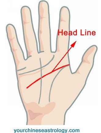 The head line, one of the main lines in palm reading, is primarily related to the mental state of a person. Read your head line for free by yourself to learn your thinking, memory, creative, self-control abilities and more. Palm Reading Lines, Theory Of Life, Palm Of Hand, Palm Lines, Palm Reader, Reading Help, Hand Palm, Chinese Astrology, Palm Reading