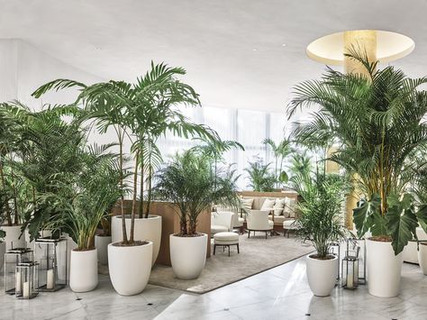 The lobby at the Miami Beach EDITION Large Tree Planters, Edition Miami, Miami Beach Edition, Extra Large Planters, Miami Beach Hotels, Edition Hotel, Fiberglass Planters, The Lobby, Office Plants