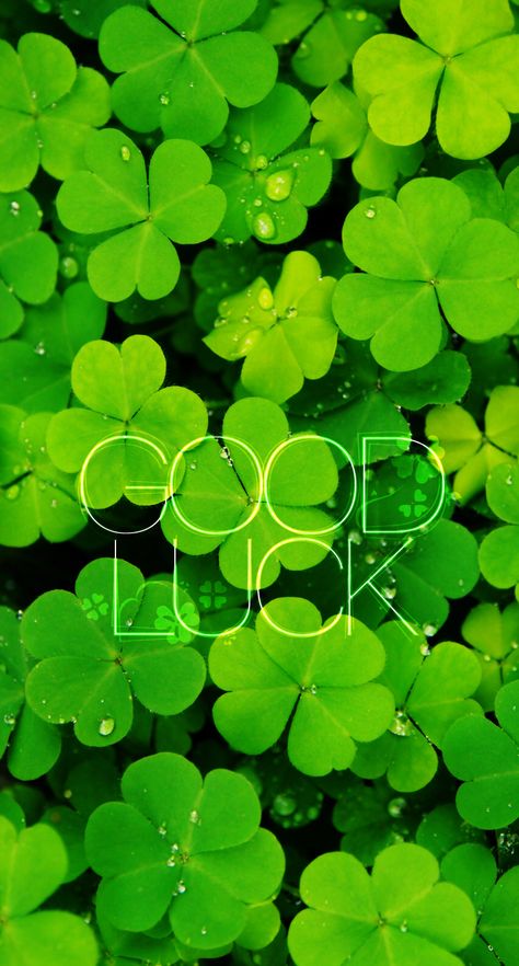 HD Good Luck Wallpaper Explore more #good luck, Chance, Characteristic, Good Wishes, Wishing Success wallpaper. https://www.whatspaper.com/hd-good-luck-wallpaper/ Iphone Wallpaper Retro, Good Luck Wallpaper, Angel Numbers 777, Luck Wallpaper, Iphone Pink Wallpaper, 3d Iphone Wallpaper, Cool Wallpapers For Pc, Wallpaper Iphone Pink, Hd Iphone Wallpaper