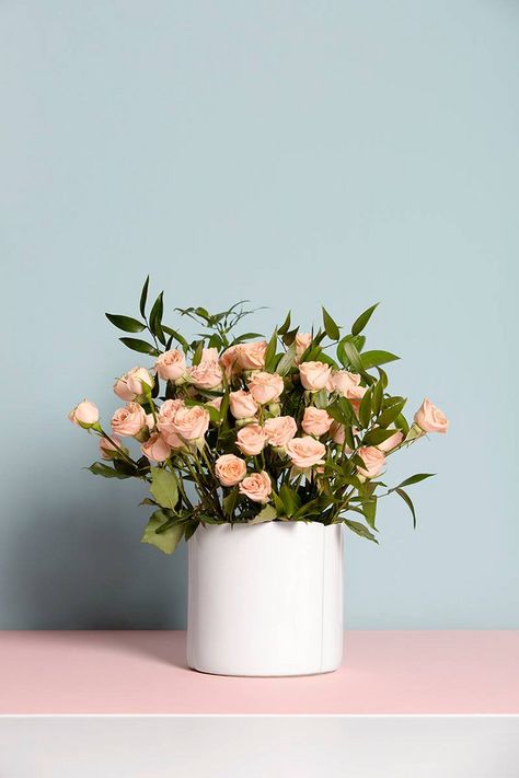 how to pair flowers with the correct vases #SOdomino #plant #pink #flowerpot #flower #floweringplant #floraldesign #cutflowers #floristry #bouquet #flowerarranging Flowers And Vases, Vase Ideas, Large Glass Jars, Cherry Blossom Branch, Flower Vase Arrangements, White Vase, Cut Flowers, Flower Wallpaper, Pretty Flowers