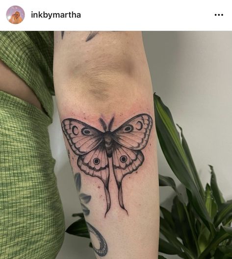 Moth Or Butterfly Tattoo, Folding Moth Tattoo, Moth Tattoo Upper Arm, Moth Tattoo On Arm, Moth Arm Tattoo, Moth And Flower Tattoo, Tattoo Ideas Moth, Butterfly Arm Tattoo, Tattoo Papillon