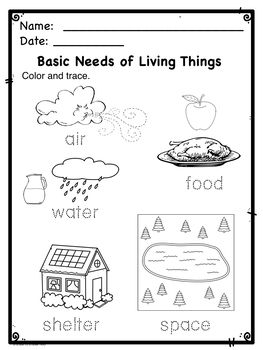 Kindergarten NGSS From Molecules to Organisms:  What do Plants and Animals Need? Human Needs Kindergarten, Living Things Needs Activities, Living Things For Kindergarten, Kindergarten Living Things Activities, Basic Needs Of Living Things, What Do Animals Need Kindergarten, Animal Needs Kindergarten, Basic Needs Of Animals, Living Vs Nonliving Preschool