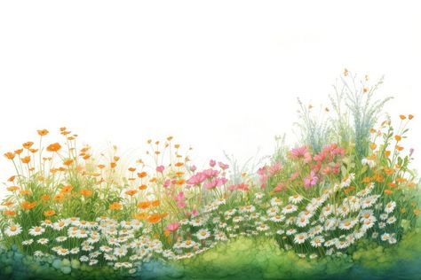 Vibrant floral meadow illustration | free image by rawpixel.com / Tang Meadow Illustration, Grass Png, Grass Drawing, Grass Illustration, Grass And Flowers, Floral Meadow, Grass Flower, Flowers Illustration, Download Free Images