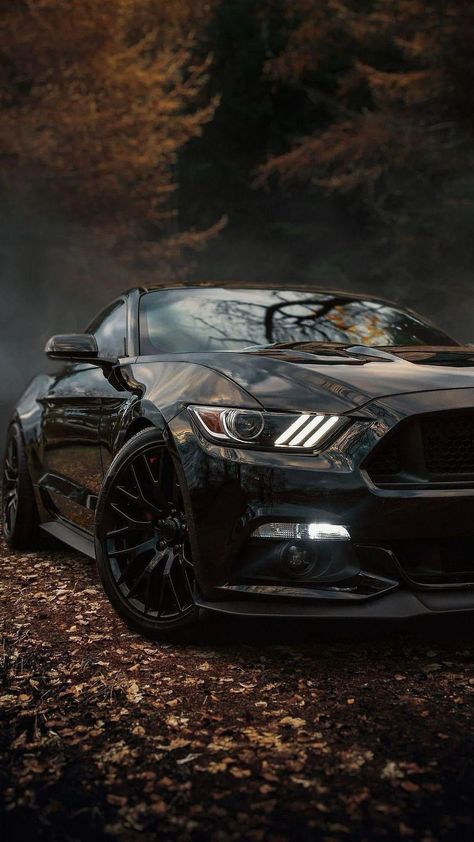 Ford Wallpaper, Fort Mustang, Mustang Car Aesthetic, 2018 Mustang Gt, Mustang Tuning, Most Reliable Suv, Ford Mustang Wallpaper, 2024 Ford Mustang, Mustang Wallpaper