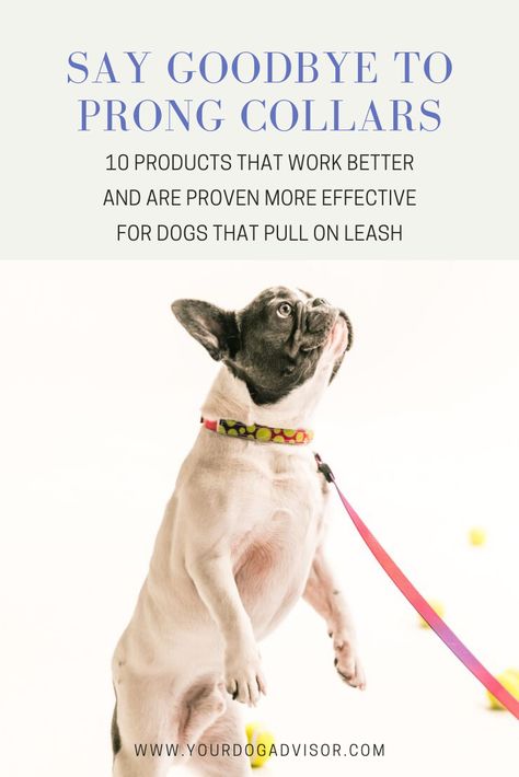 Say Bye to Prong Collars - 10 Better Products for Dogs that Pull on Leash 1 Best Dog Leash, Prong Collar Training, E Collar Training, Dog Halter, Posture Collar, Prong Collar, Reflective Dog Harness, Dog Shock Collar, Shock Collar