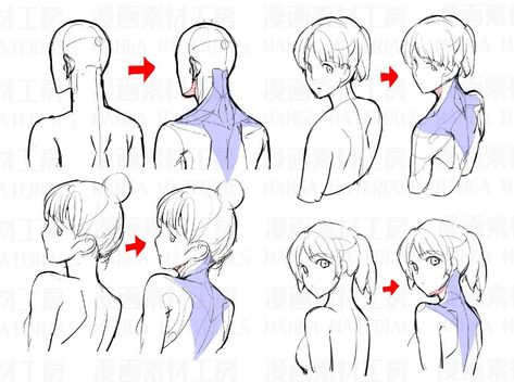 Back and side profile Back Drawing, Profile Drawing, Body Reference Drawing, 캐릭터 드로잉, Anatomy Drawing, Poses References, Figure Drawing Reference, Anatomy Reference, Anime Drawings Tutorials