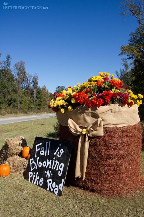 Round Hay Bale Decorating Ideas, Halloween Hay Bales, Hay Bale Decorating Ideas, Decorated Hay Bales, Hay Bale Fall Decor, Hay Bale Fall, Hay Bale Decor, Painted Hay Bales, Hay Bale Decorations