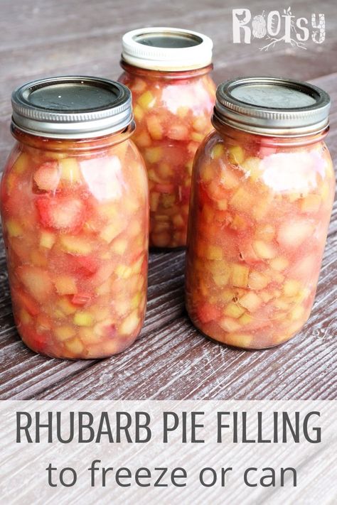 Canned Rhubarb Pie Filling, Rhubarb Canning Recipes, Canning Rhubarb, Rhubarb Pie Filling, Strawberry Rhubarb Pie Filling, Rhubarb Desserts Recipes, Rhubarb Oatmeal, Rhubarb Juice, Canning Fruit