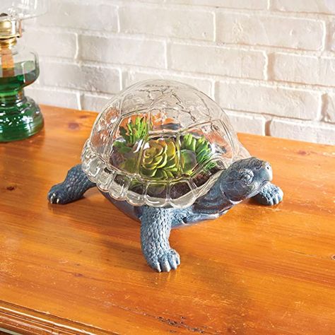 ART & ARTIFACT Turtle Shaped Glass Terrarium - Glass Shell Dome Indoor Flower Succulent Planter : Amazon.ca: Patio, Lawn & Garden Aquatic Habitat, Turtle Terrarium, Large Terrarium, Exo Terra, Ceramic Turtle, Diy Tank, Terrarium Ideas, Succulent Gardening, Cast Glass