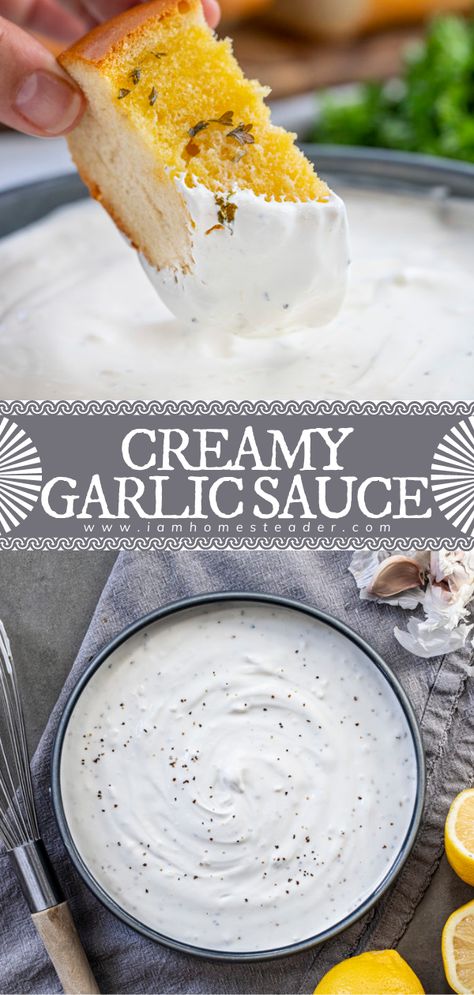 Greek Sour Cream Sauce, Greek Garlic Sauce, Sour Cream Sauce For Chicken, Greek Garlic Sauce Recipe, Easy Sour Cream Sauce, Dip Thanksgiving, Rotisserie Recipes, Best Sauce Recipe, Garlic Sauce Recipe