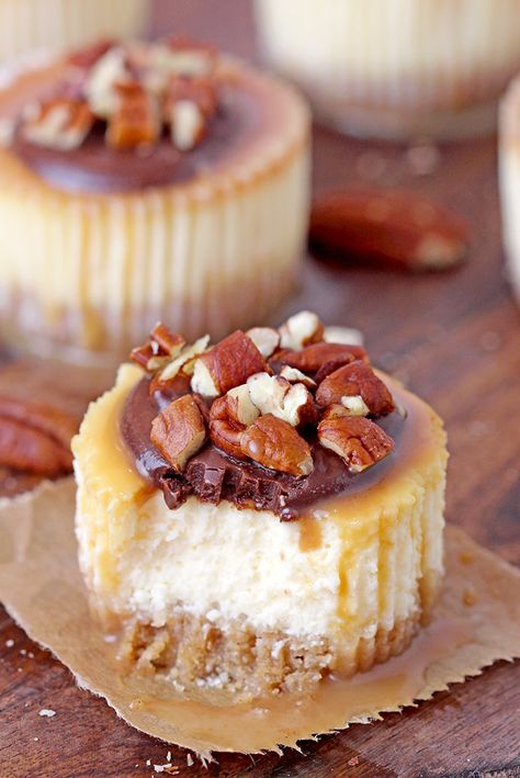 Mini Cheesecake Decorating Ideas, Mini Turtle Cheesecakes, Mini Cheesecake Flavors Ideas, Pecan Pie Mini Cheesecakes, No Bake Turtle Cheesecake Cups, Turtle Cheesecake Bites, Individual Cheesecake Cups, Mini Turtle Cheesecake Recipe, Mini Turtle Cheesecake