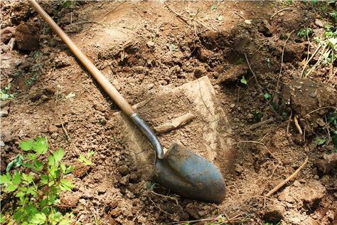 YOU ARE THE TREASURE! (The Parable of the Treasure in the Field) Shovel, Isla Del Coco, Cocos Island, Dug Up, Buried Treasure, Metal Detecting, Hidden Treasures, Backyard Design, God Is Good