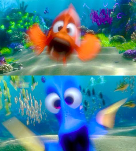 #FindingNemo (2003) - #Nemo #Dory Seal From Finding Dory, Finding Nemo Meme, Nemo Memes, Marlin And Dory, Dory And Nemo, Nemo And Dory, Finding Nemo Characters, Dory Finding Nemo, Blurry Pics