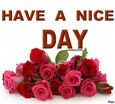 have a nice day Good Day Images, Good Morning Wishes Friends, Photos Of Good Night, Good Morning Sunday Images, Good Morning Wishes Gif, Quotes Dream, Good Night Flowers, Good Night Love Images, Happy Birthday Wishes Cards