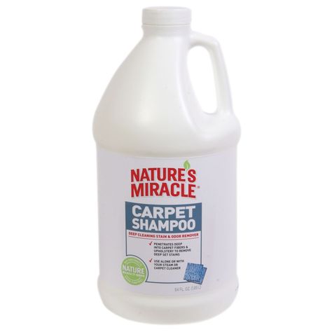 Nature's Miracle Pet Carpet Shampoo Diy Carpet Shampoo For Machine, Diy Carpet Shampoo, House Smell Good, Red Carpet Runner, Carpet Shampoo, Odor Remover, Diy Carpet, Best Carpet, Carpet Cleaners