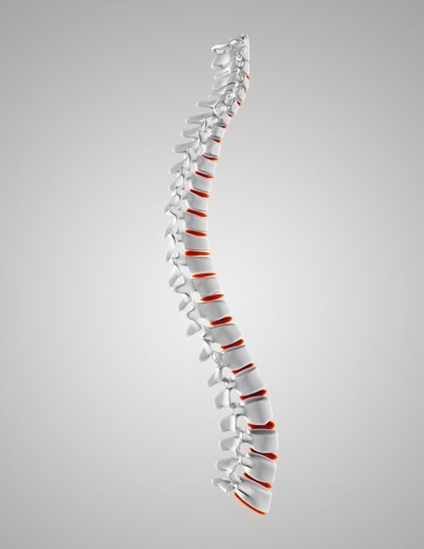 Spinal Cord Lesions, Yoga Information, Spinal Nerve, Upper Back Pain, Nerve Pain Relief, Red Details, Sciatic Nerve Pain, Sciatic Nerve, Spinal Cord