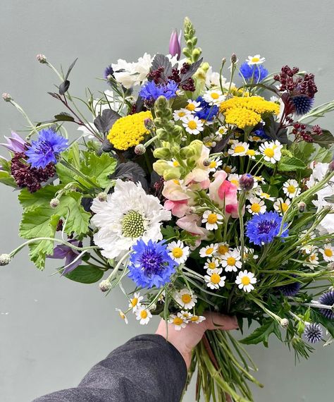 British grown flowers used today to make these wonderful summer meadow bouquets. One of our customer favourites for the season . #kensingtonflowerslondon #kensingtonflowershop #kensingtonflorist #britishgrownflowers #englishgrownflowers #meadowflowermonth ##shoplocal #londonfloristshop #londonindependantshop #familybusiness Flowers London, Summer Meadow, Florist Shop, Meadow Flowers, Flower Shop, Bouquets, Florist, Wonder, Flowers