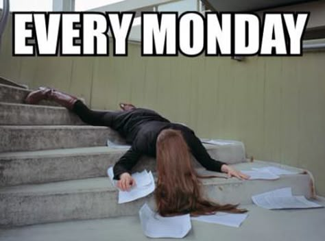 Picture Funny Monday Memes, I Hate Mondays, Monday Memes, Monday Humor, Hate Mondays, 9gag Funny, Monday Quotes, Work Memes, Story Of My Life