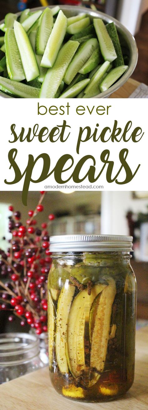 Wondering how to make crispy, rich, and delicious sweet pickles for canning? This recipe was an instant winner for us and I bet that once you taste it, you'll be adding this sweet pickle recipe to your personal collection too! Pickles For Canning, Best Sweet Pickle Recipe, Sweet Pickle Recipe, Canning Sweet Pickles, Sweet Hot Pickles, Sweet Pickles Homemade, Canning Pickles Recipe, Sweet Pickles Recipe, Crunchy Pickles