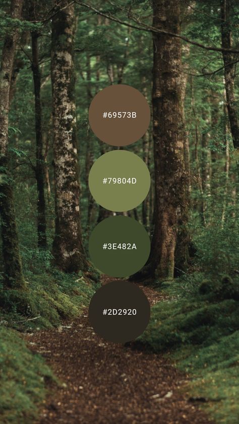 Forest Tones Colour Palettes, Forest Colour Pallet, Forest Wedding Colour Palette, Forest Colour Pallete, Forest Green And Brown Bedroom, Green Forest Palette, Green Home Palette, Green Academia Color Palette, Dark Green Bedroom Color Palette