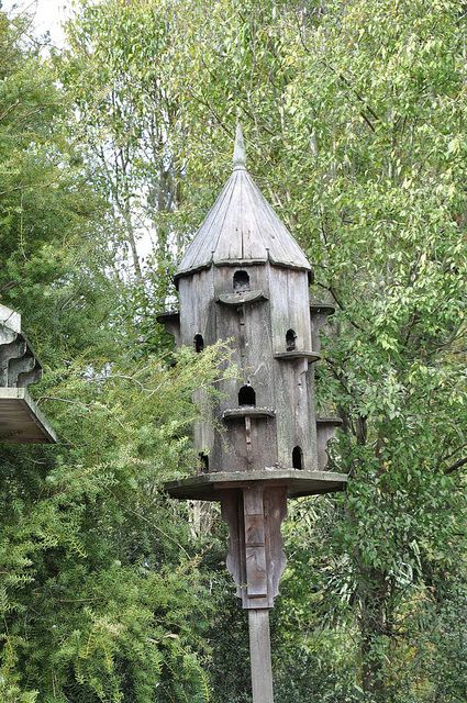 Dove Cote, Hamilton New Zealand, Pigeon Loft, Homemade Bird Houses, Beautiful Birdhouses, Birdhouses Rustic, Garden Birdhouses, Wooden Bird Houses, Bird House Plans