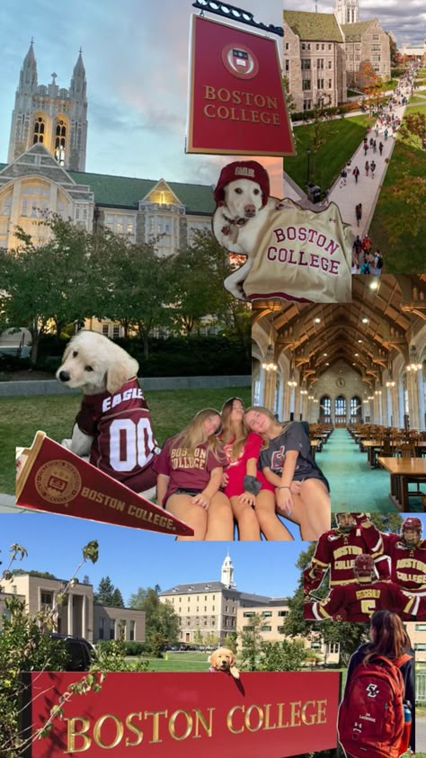 Dream College Aesthetic, Leadership Vision Board, Study Motivation Board, College Social Media, Law School Aesthetic, Future Collage, Boston Aesthetic, College Dorm Inspo, College Goals