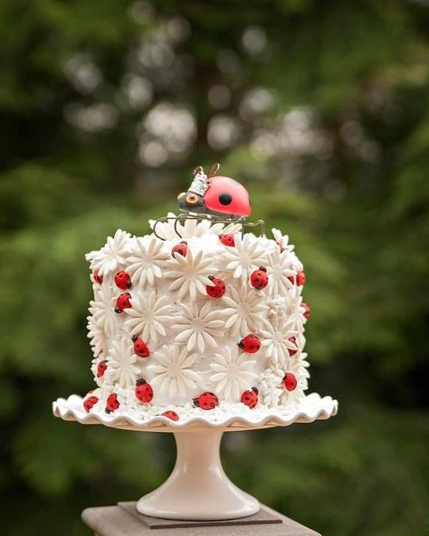 Lady Bird Birthday Cake, Ladybug And Daisy Birthday, Ladybug Themed Cake, Ladybug 1st Birthday Cake, Pink Ladybug Cake, Birthday Cake Ladybug, Bug Cake For Girls, Ladybug First Birthday Cake, Lady Bird Cake