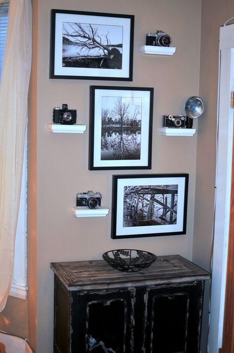 Old Camera Decoration Ideas, Photograph Frame Ideas, Black And White Photography Framed, Vintage Camera Display Ideas, Camera Collection Aesthetic, Camera Display Ideas Shelves, Old Camera Display Ideas, Camera Display Ideas, Camera Collection Display