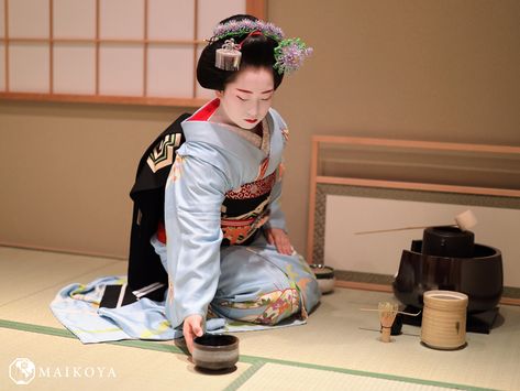 geisha in training performing a Japanese tea ceremony iat Kimono Tea Ceremony Maikoya Kyoto, Gion Geisha Tea Ceremony, Photo Japon, Japanese Tea House, Kobe Beef, Traditional Japanese Art, Japanese Tea Ceremony, Beautiful Kimonos, Cultural Activities, Best Tea