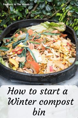 Winter Compost, Small Compost Bin, Ground Cherries, Composting Ideas, Making A Compost Bin, Squash Bugs, Food Growing, Composting Process, Old Wives Tales