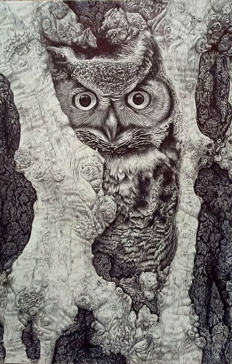 Traditional Pen and Ink Illustrators | Ballpoint pen. A3 | Facebook Owls, Homeschool Crafts, Art Pen, Art Pens, Ballpoint Pen, Pen And Ink, Krishna, Pen, Pencil