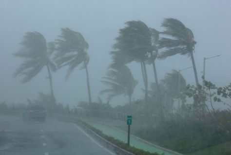 Beaufort Scale, Fly Repellant, Satellite Image, Tropical Storm, Life Is Strange, Island Beach, Caribbean Islands, Natural Disasters, Ny Times