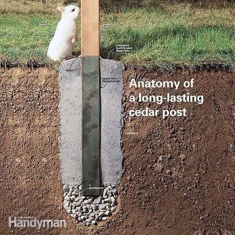 How to Set Cedar Fence Posts That Won't Rot | Family Handyman Setting Fence Posts, Cedar Fence Posts, Cedar Posts, Project Steps, Cedar Fence, Fence Posts, Storing Paint, Family Handyman, Fence Post