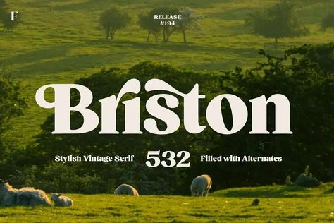 Briston Font - Dafont Free Dafont Fonts, 10 Tattoo, Aesthetic Fonts, Font Inspiration, Graphic Design Fonts, Stylish Fonts, Creative Fonts, Graphic Design Software, Vintage Fonts