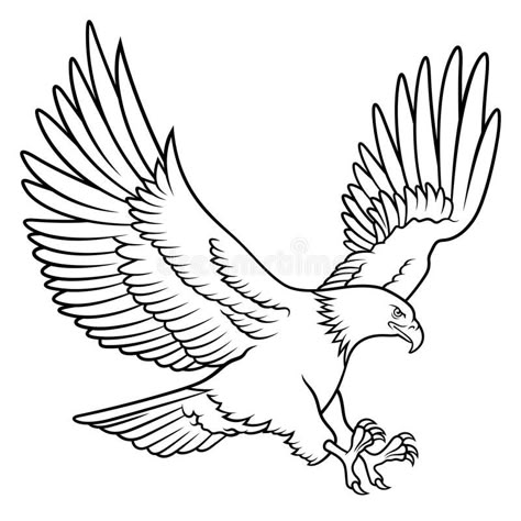 Eagle Sketch, Fly Drawing, Eagle Silhouette, Eagle Vector, Eagle Drawing, Eagle Tattoos, Eagle Tattoo, Bird Coloring Pages, An Eagle